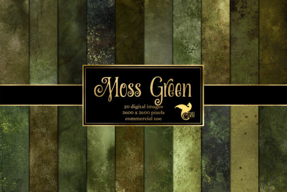 Download Moss Green Textures - Textures Collection